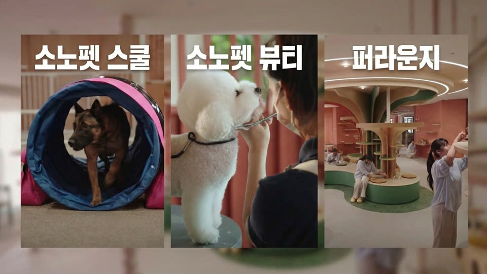 소노펫 브랜드필름 장면